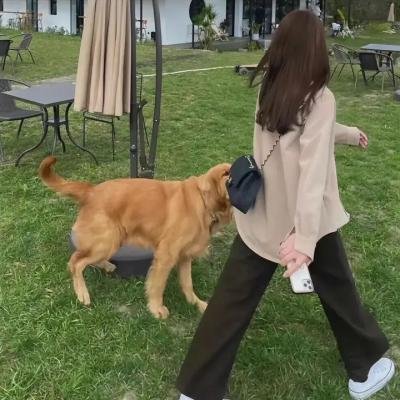 玉女干戈